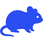 Rodents